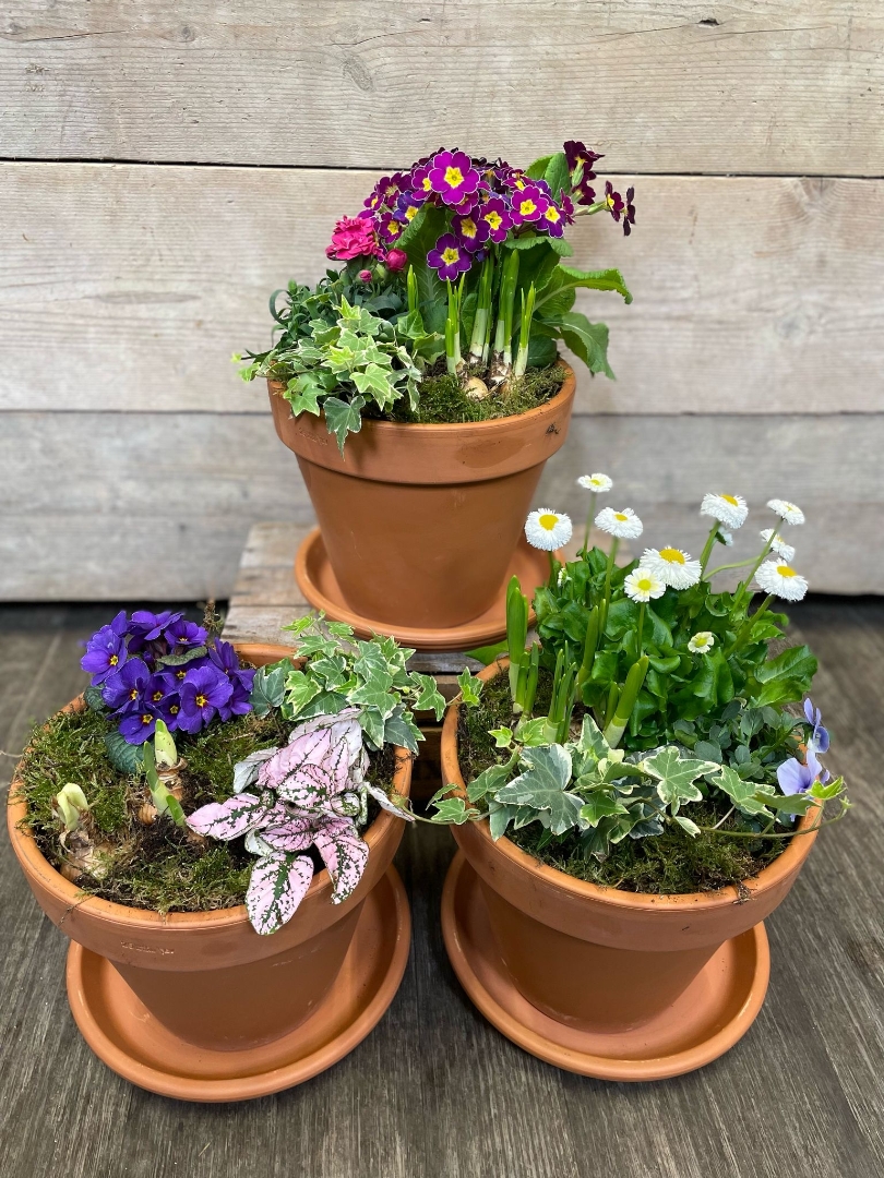 Spring Planter