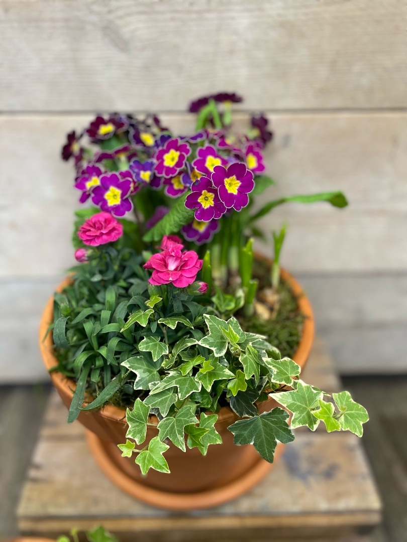Spring Planter