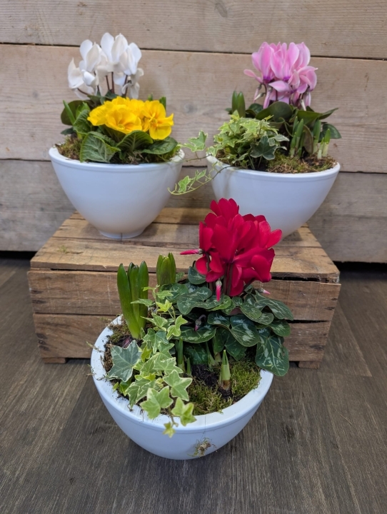 Spring Planter
