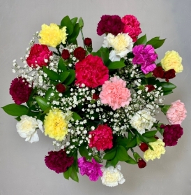 Cracking Carnations