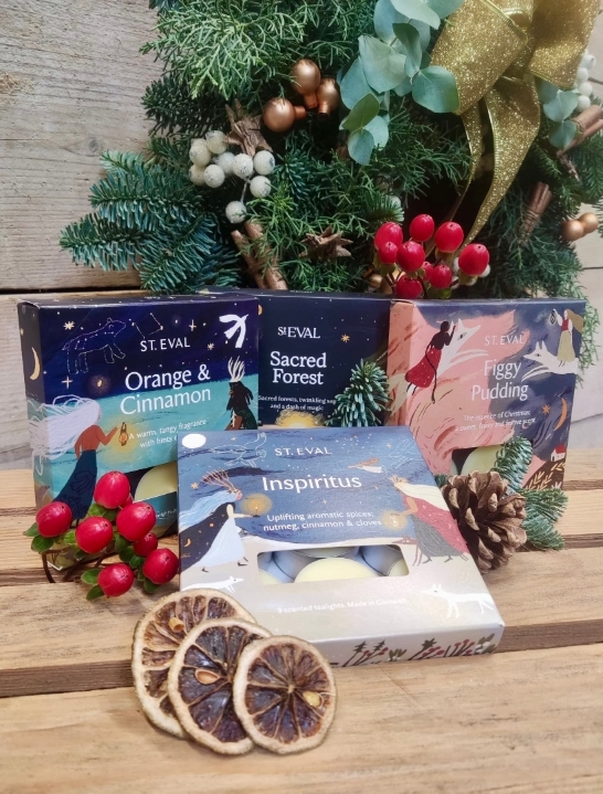 St Eval Christmas Tea light Candles